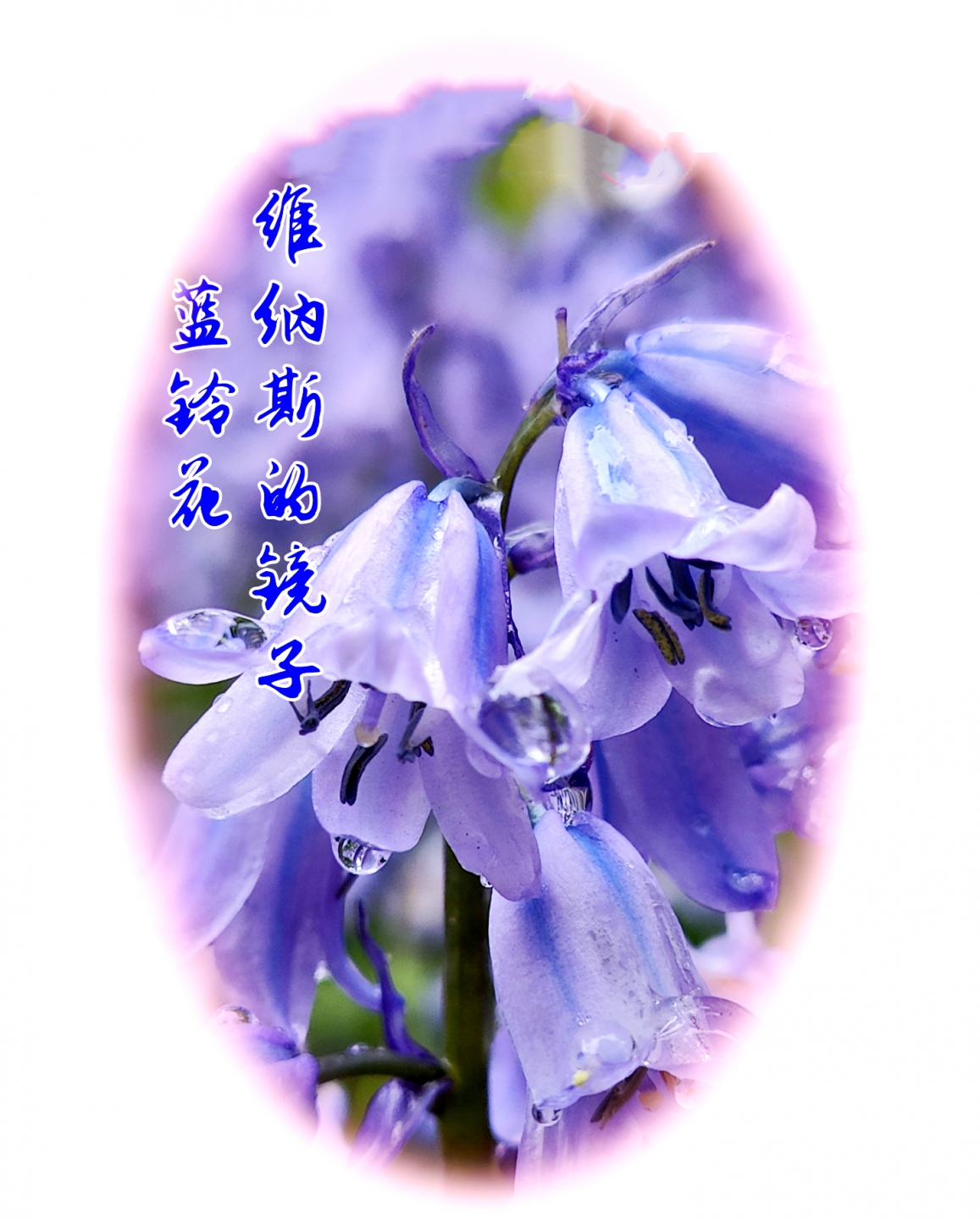 IMG20240510105340_����.jpg