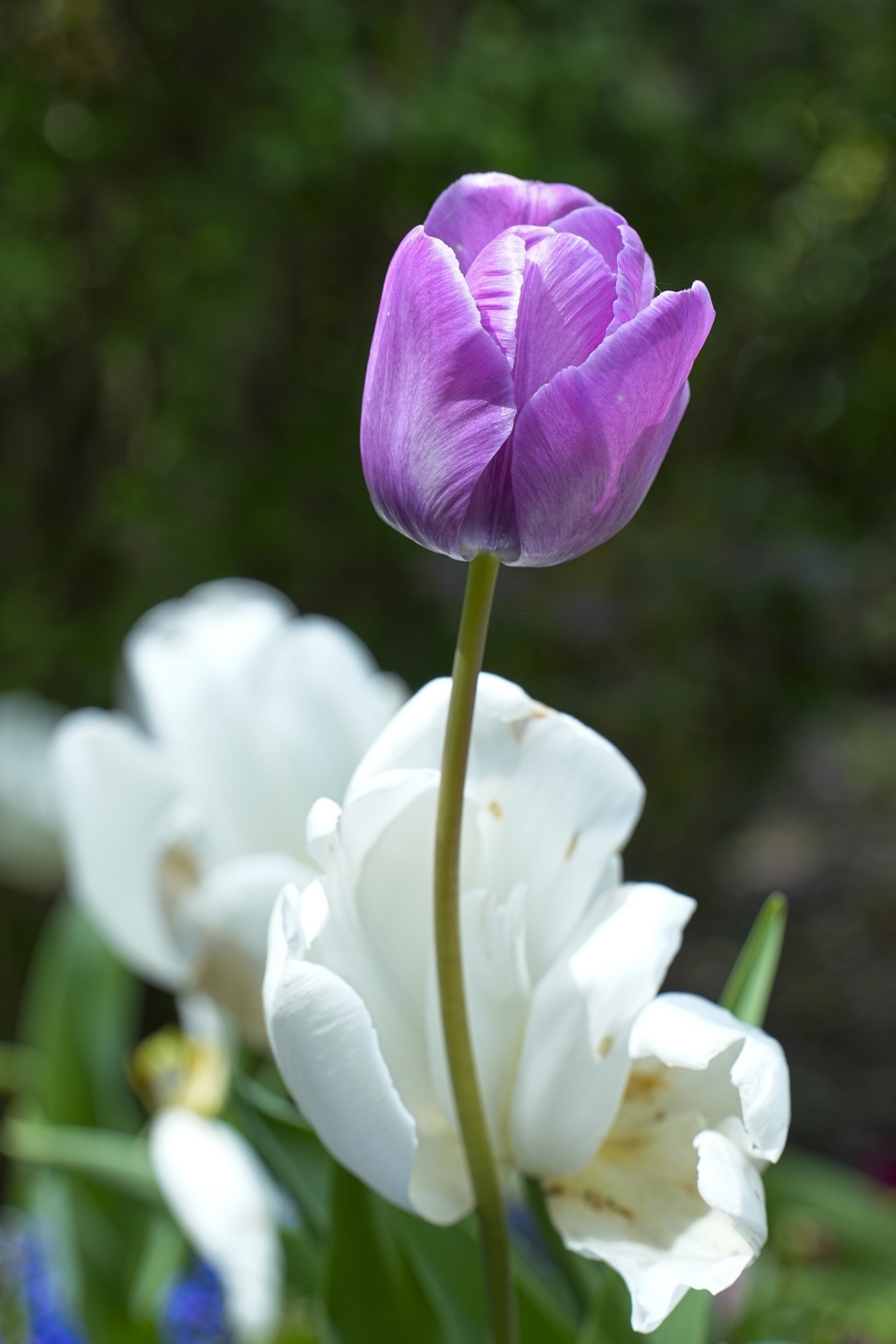 _DSC8511.jpg