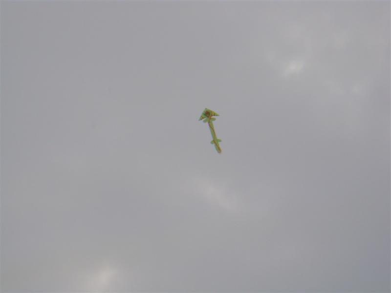 DSC02304 (�е�).JPG