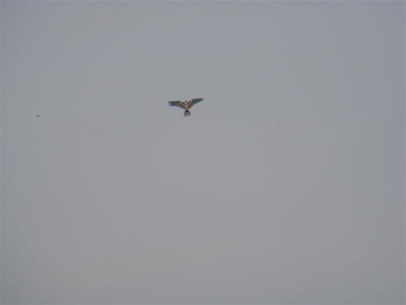 DSC02307 (�е�).JPG