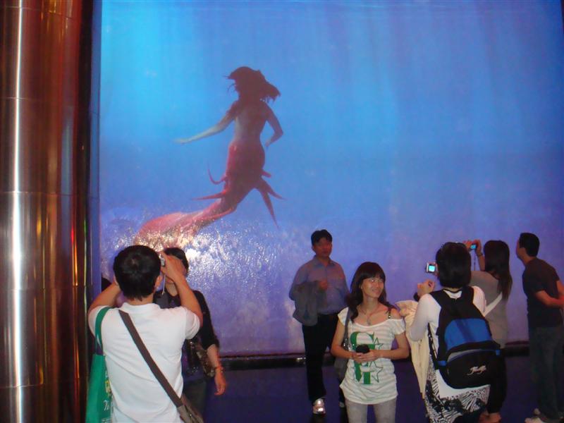 DSC02370 (�е�).JPG