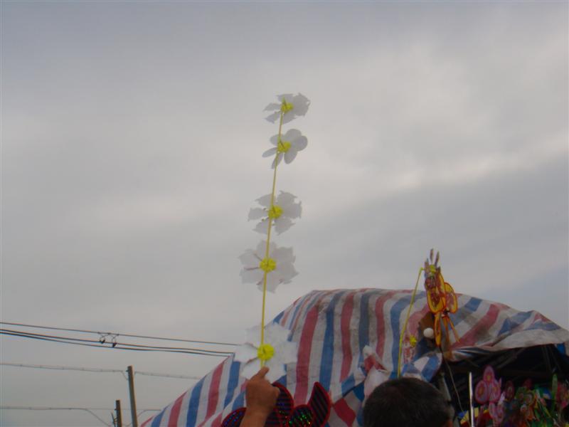 DSC02286 (�е�).JPG