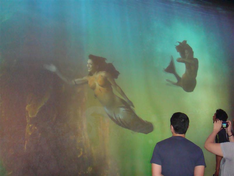 DSC02379 (�е�).JPG