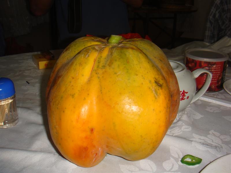 DSC02301 (�е�).JPG