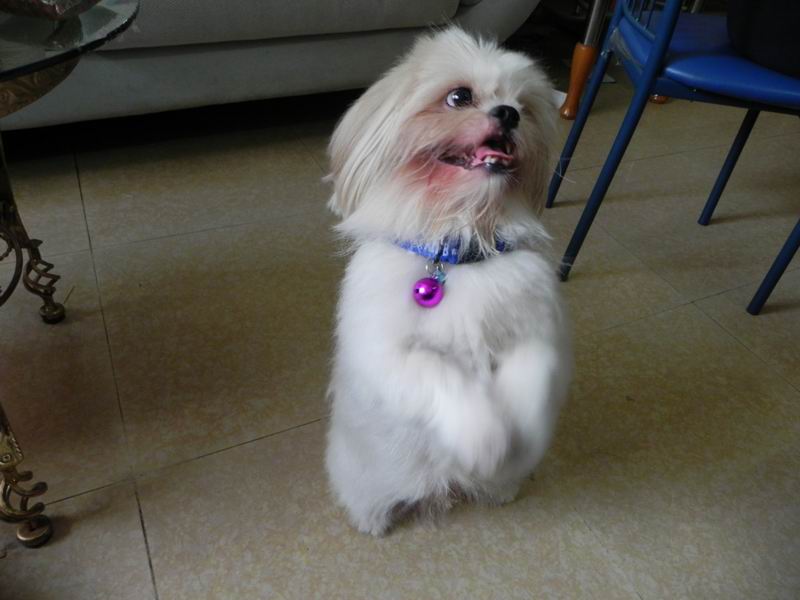 ������С DSCN2779.JPG