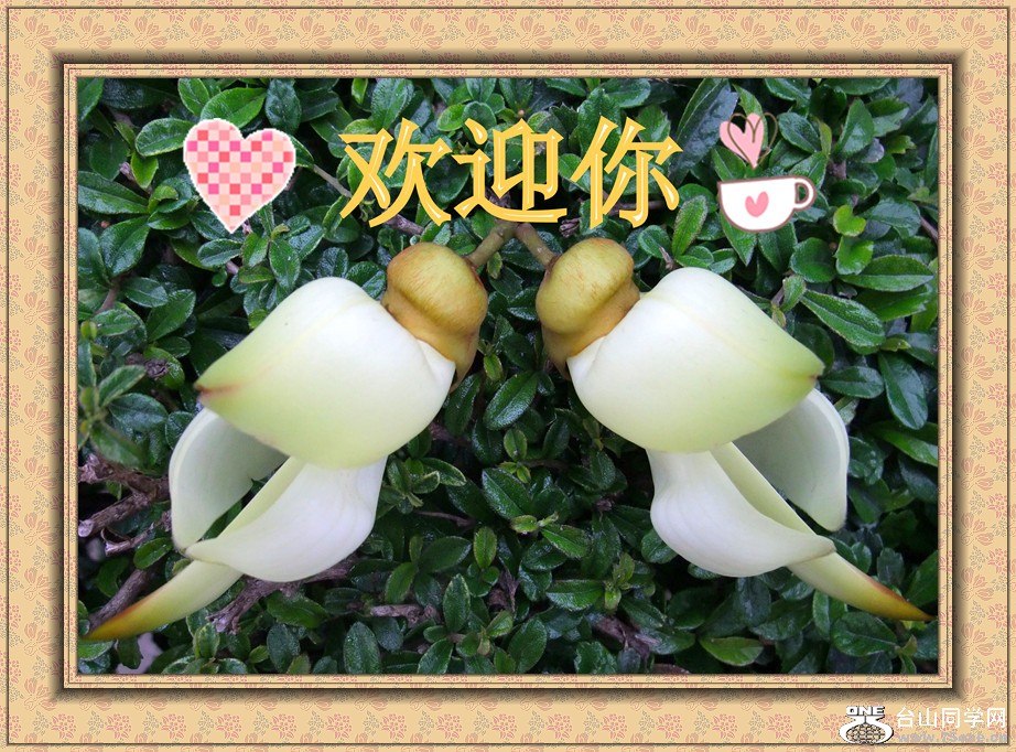 DSCF2186_����.jpg
