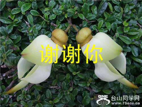 DSCF2185_����.gif