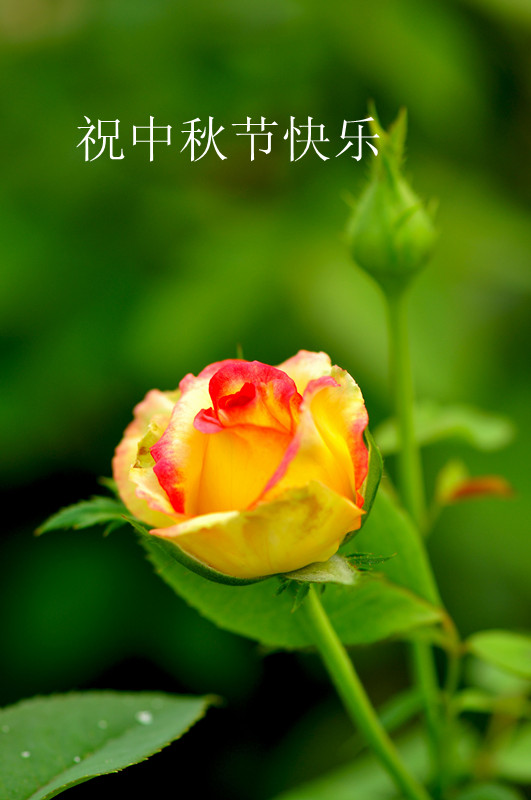 DSC_0089_����.jpg
