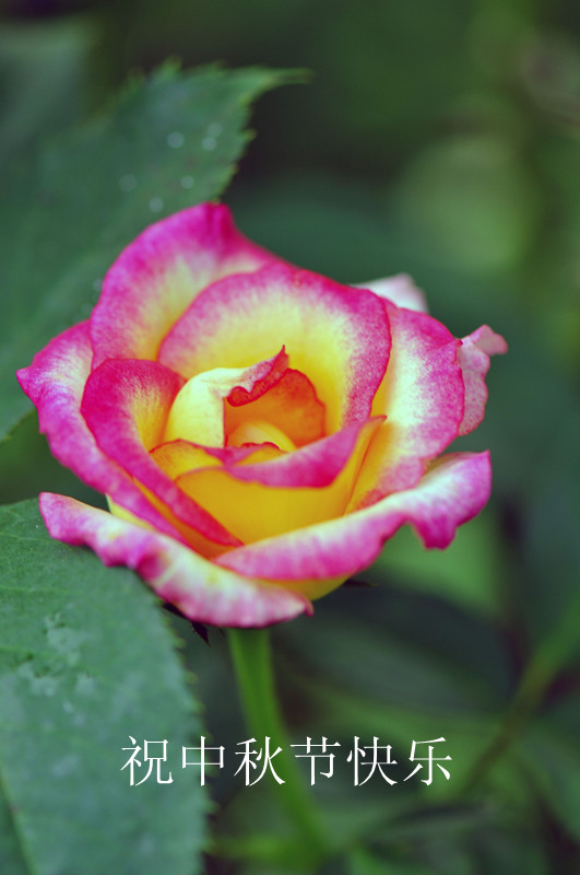 DSC_0081_����.jpg