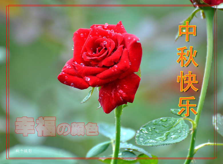 DSC_0318_����.jpg
