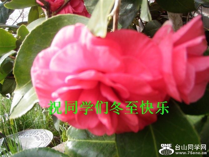 http_imgload0987_����.jpg