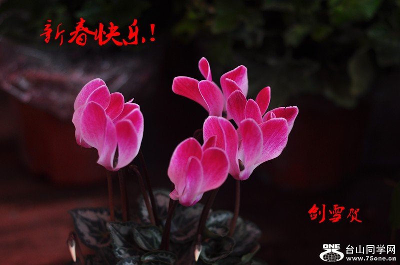 DSC_0051_����.jpg