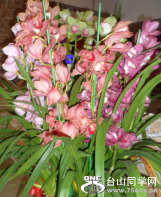 QQ��ͼ20130216163914.png