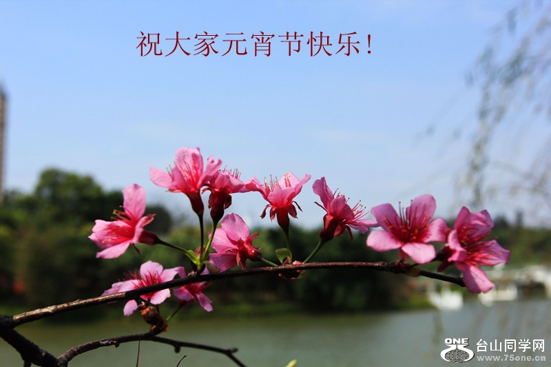 _MG_9172_����.jpg