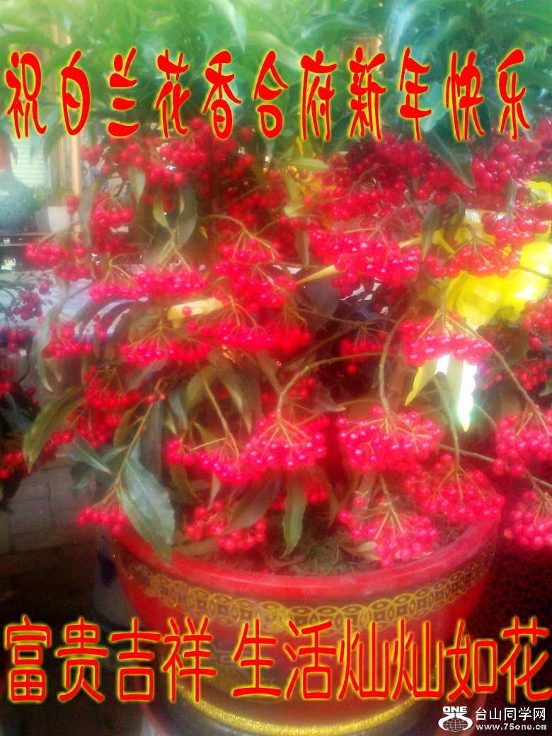 ��Ƭ0389_conew5.jpg