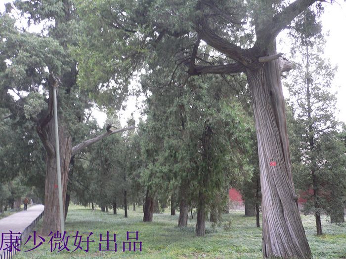 P1170798_����.jpg