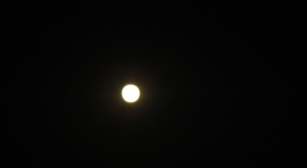 DSC09320_����.jpg