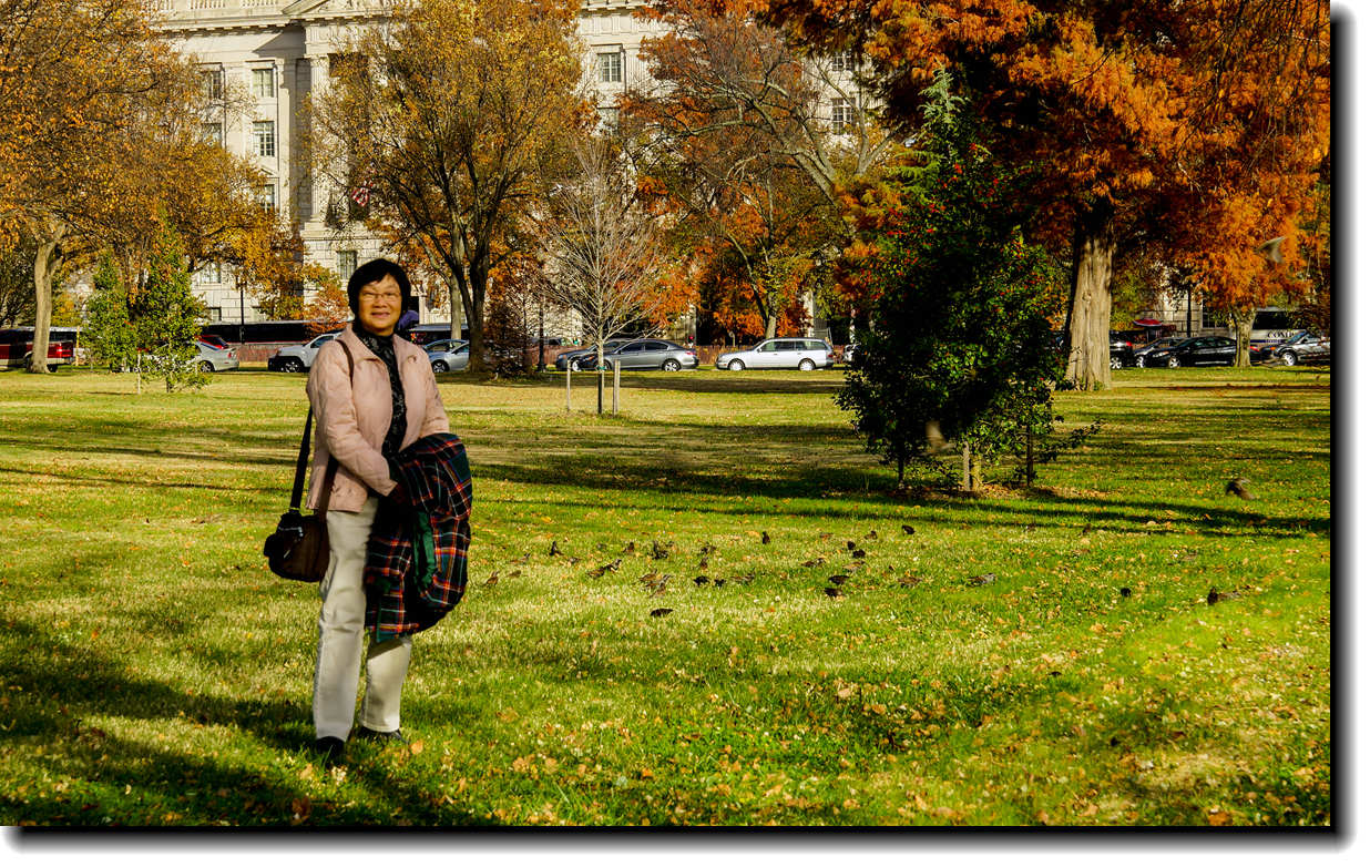 DSC09357a_����.jpg