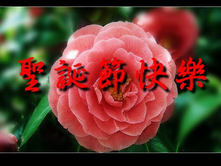 QQͼƬ201306110722380��.jpg