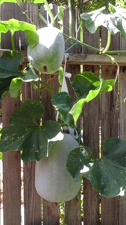 20140918_162100_����.jpg