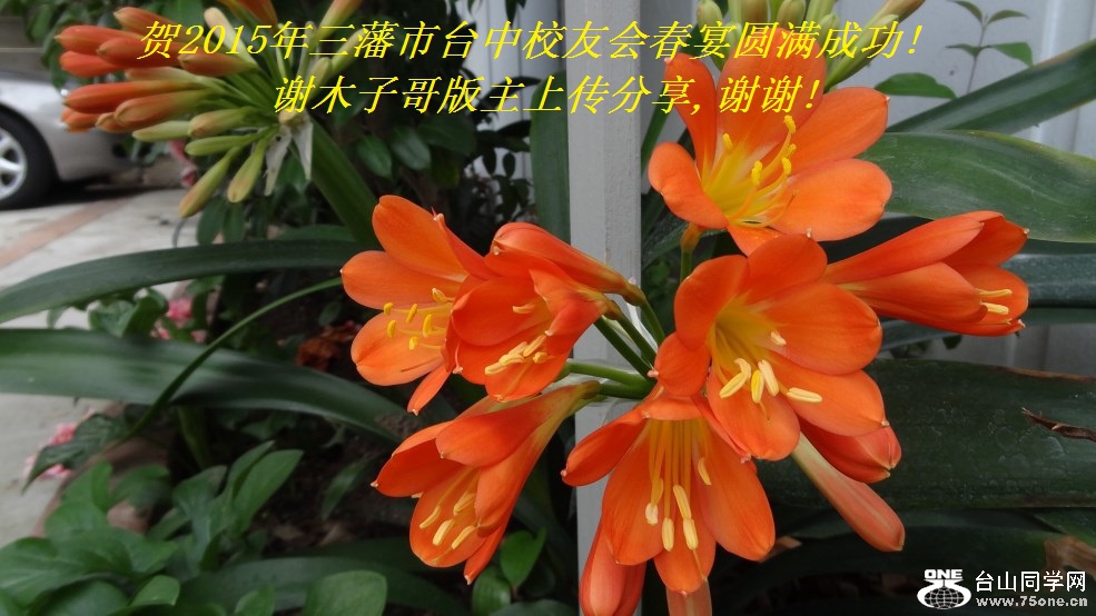 ��2015��������̨��У�ѻᴺ��Բ���ɹ�!лľ�Ӹ�����ϴ�����,лл!.jpg