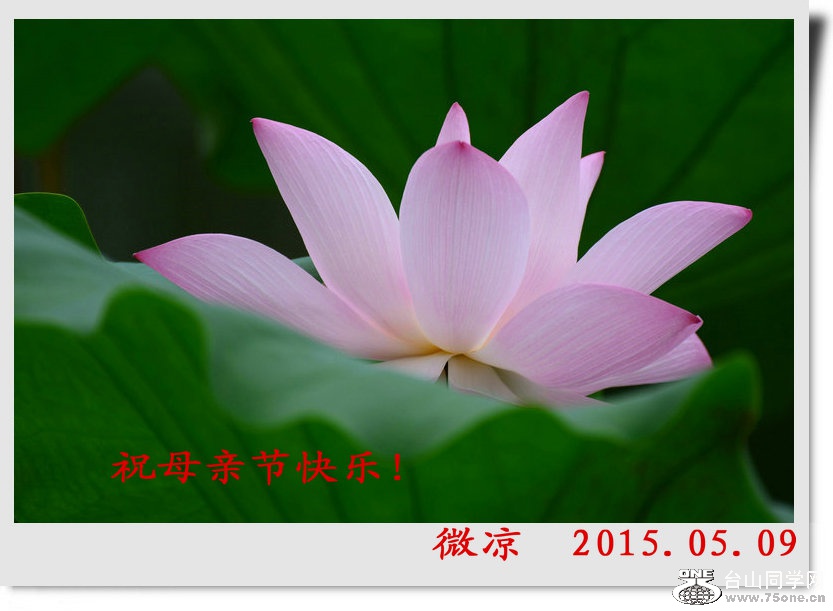 DSC_7697_����3.JPG