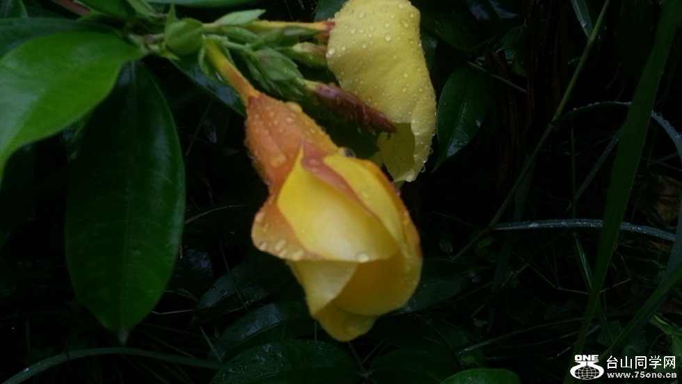 20150624_065143_����_����.jpg