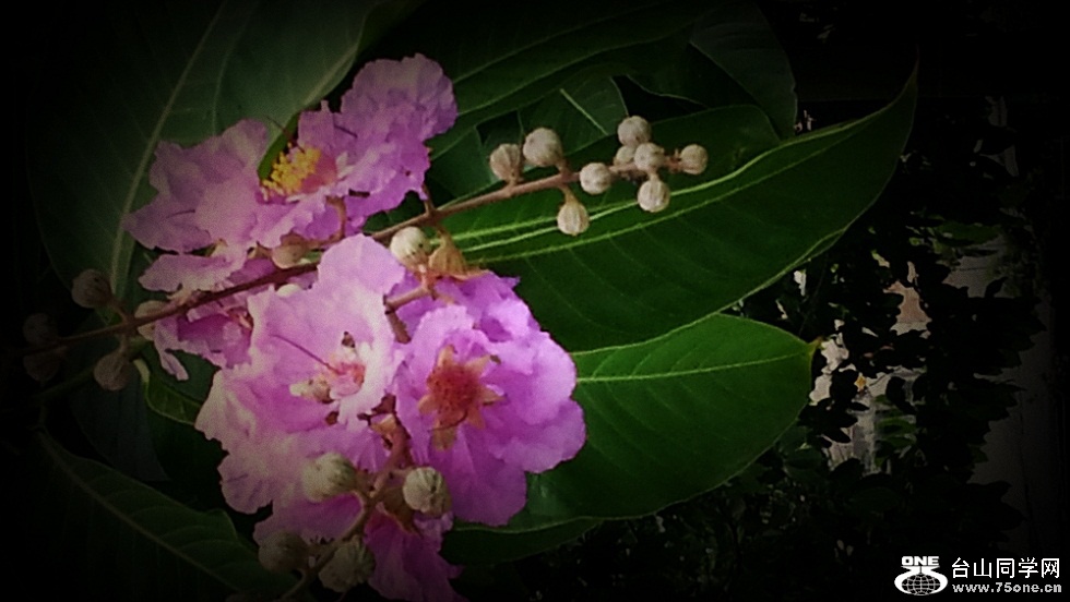 20150706_093904_����_����.jpg