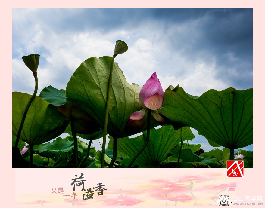 DSC02472-1_����.jpg
