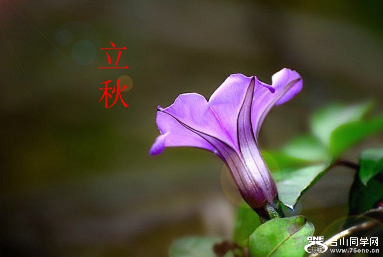 psb (7)_����.jpg