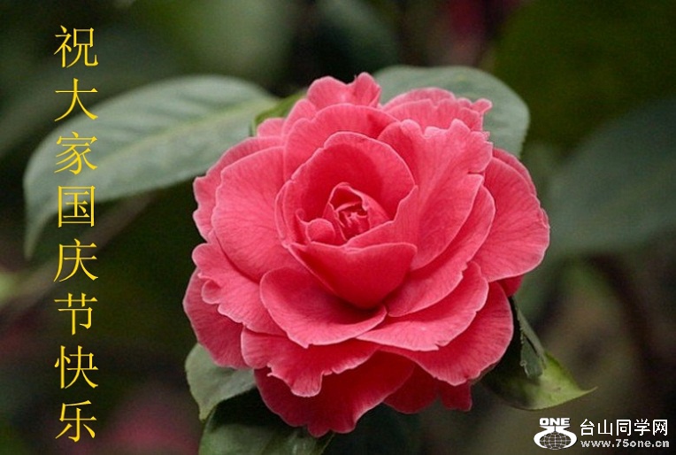 psb (15)_����.jpg