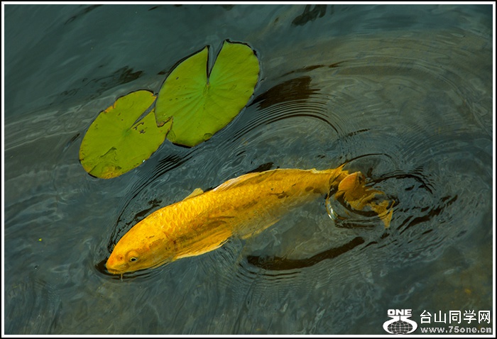 _DSC9384_meitu_1.jpg