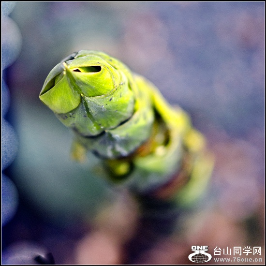 _DSC9394a_����_meitu_1.jpg