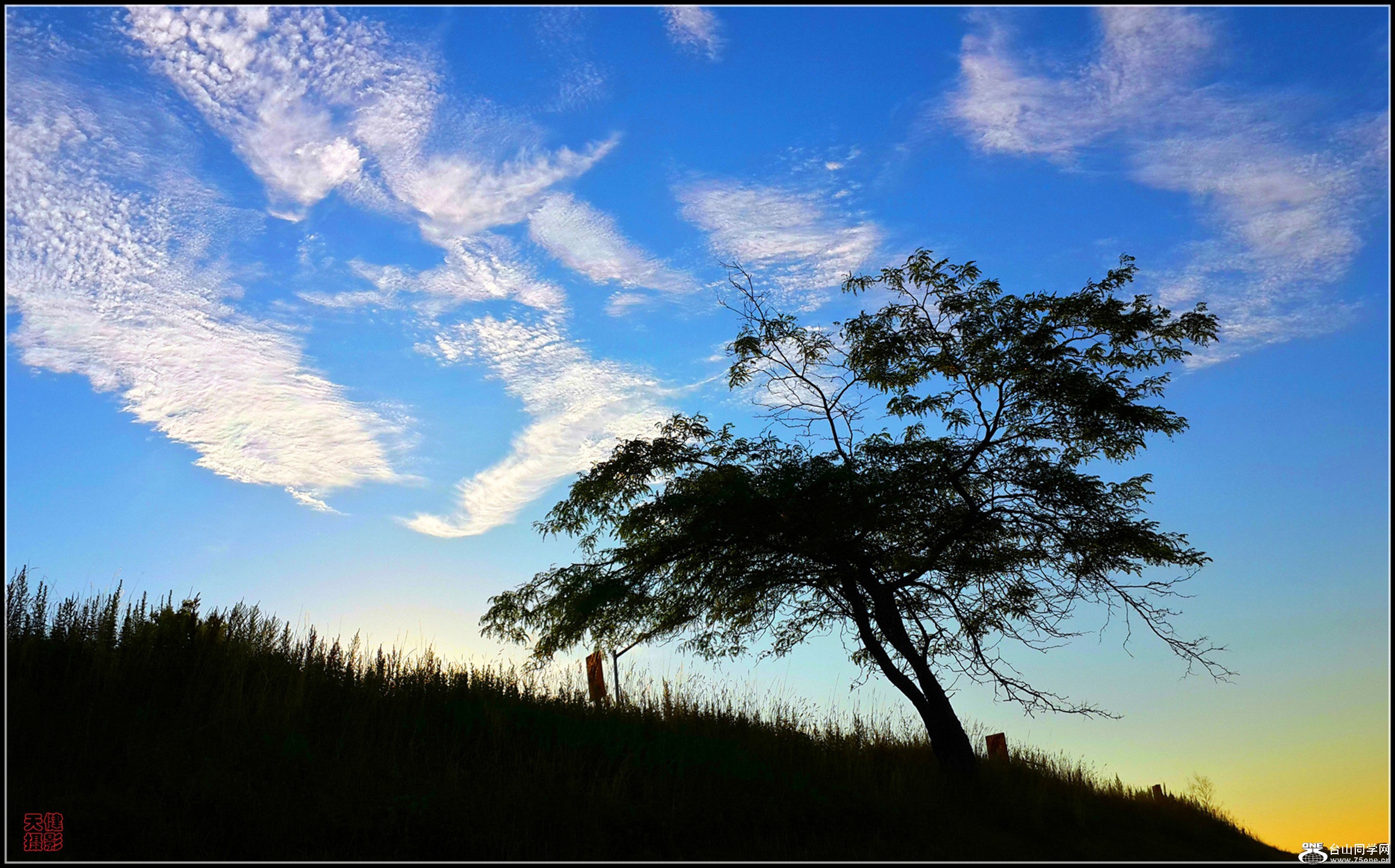 20160726_063329_Richtone(HDR)_����.jpg