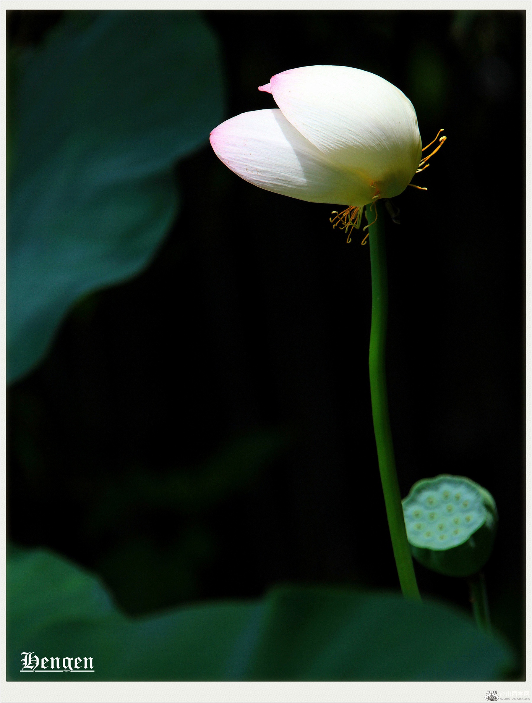 IMGL0912_����.jpg