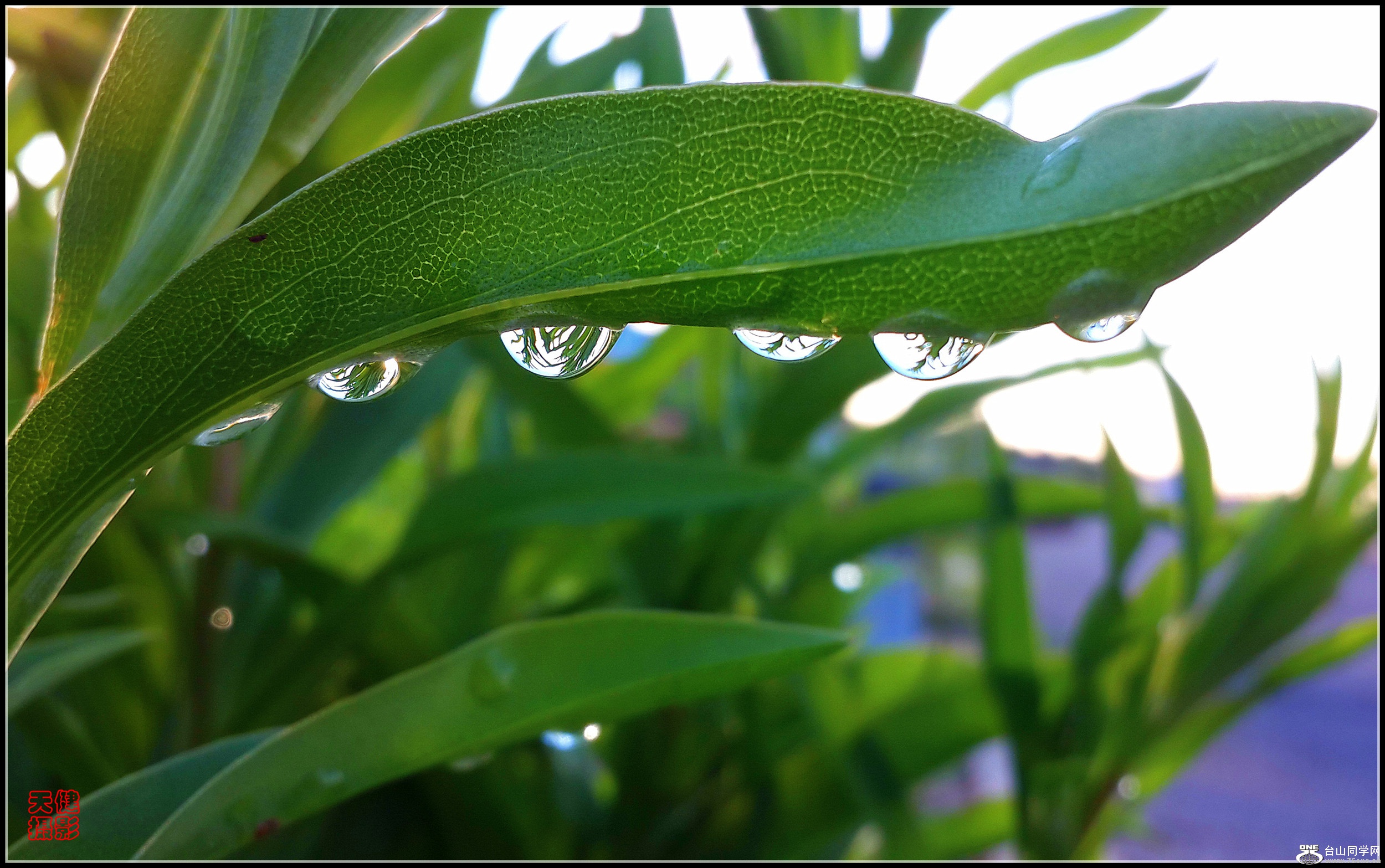 20160726_070824_����.jpg