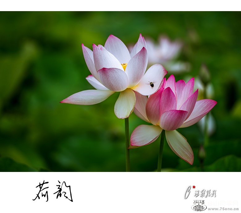 ����-3a.jpg