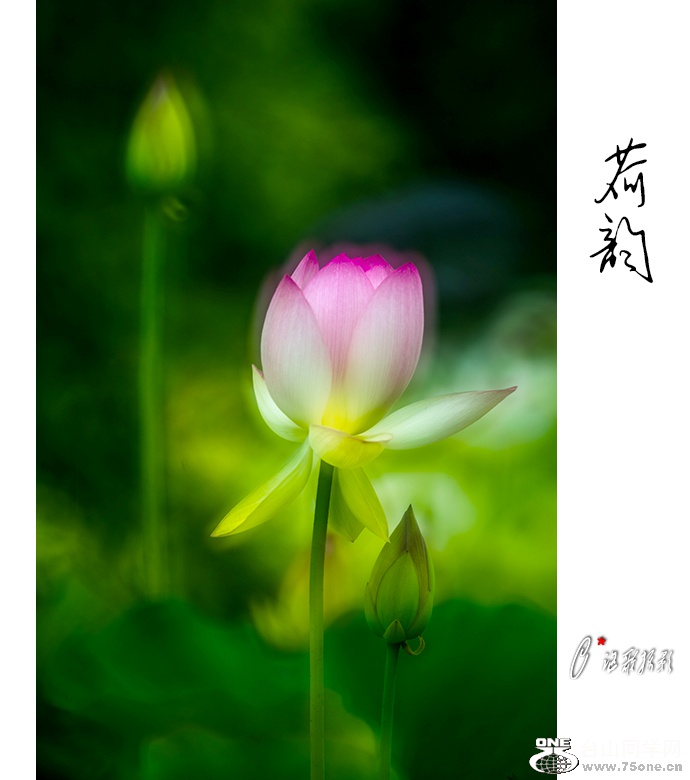 ����-2a.jpg