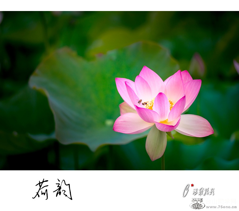 ����-1a.jpg