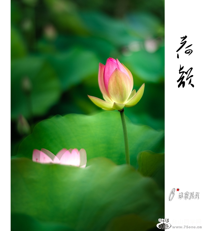 ����-21a.jpg