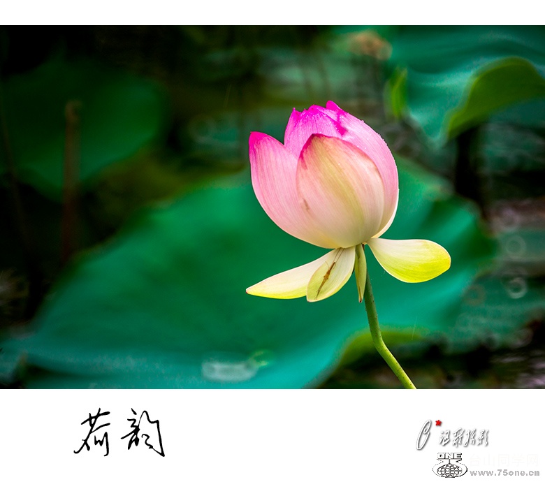 ����-8a.jpg