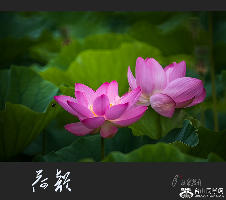 ����-26a.jpg
