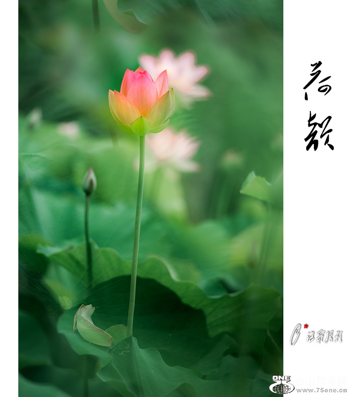 ����-18a.jpg