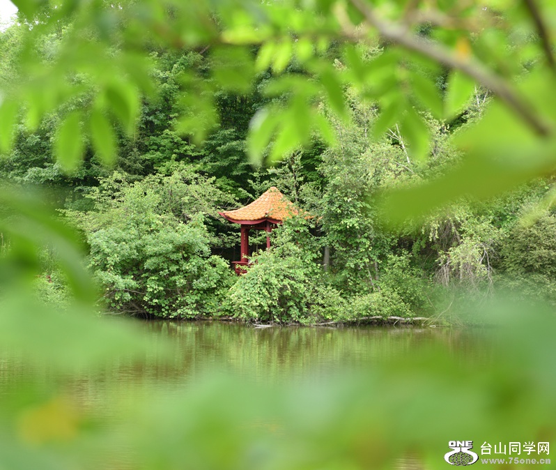 DSC_7106_����.jpg