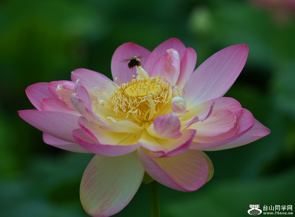 DSC_6839_����.jpg