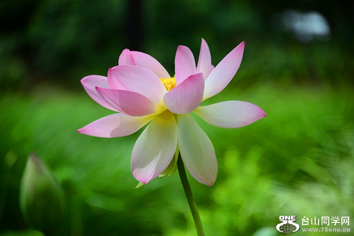 DSC_3361_����.jpg