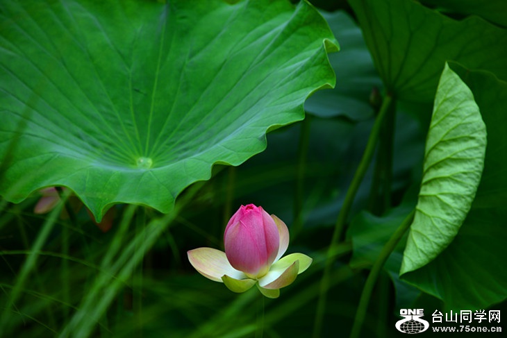 DSC_3379_����.jpg