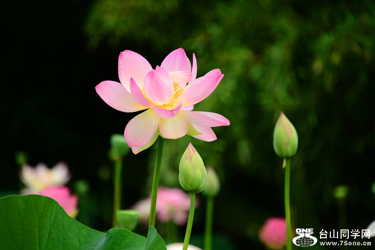 DSC_3405_����.jpg