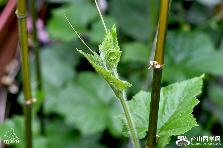DSC_11770.jpg