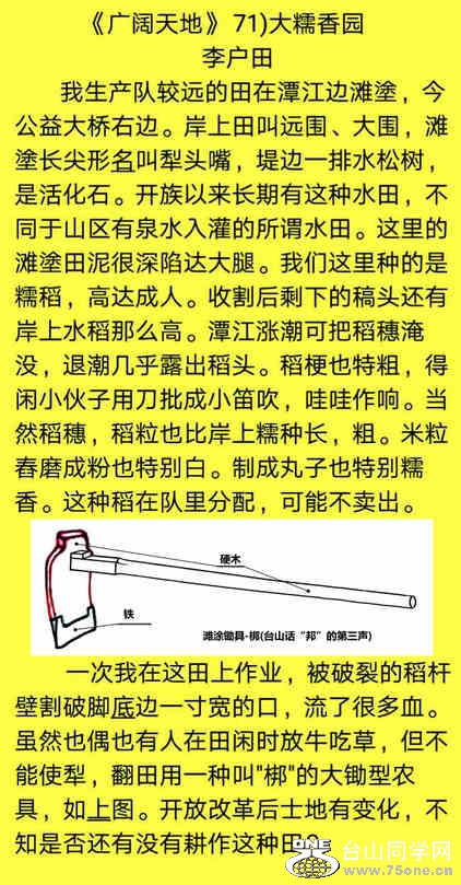 81)��Ŵ��Բ.jpg
